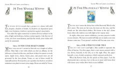 The Modern Wiccan Box of Spells