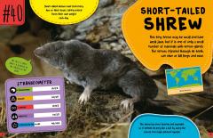 World's Strangest Predators