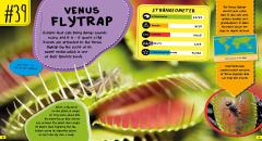 World's Strangest Predators