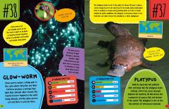 World's Strangest Predators