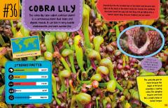 World's Strangest Predators