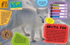 World's Strangest Predators