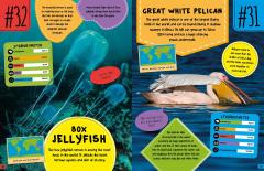 World's Strangest Predators