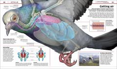 Knowledge Encyclopedia Science