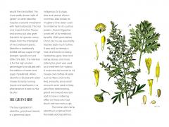 Ten Drinks That Changed the World