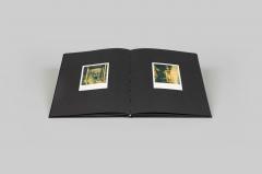 William Eggleston - Polaroid SX-70