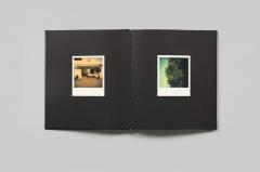 William Eggleston - Polaroid SX-70