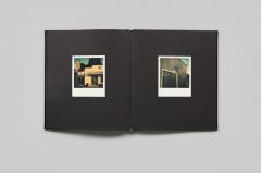 William Eggleston - Polaroid SX-70