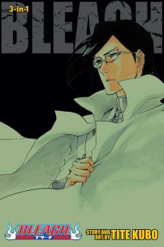 Bleach (3-in-1 Edition) - Volume 24