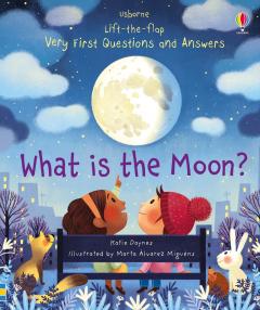 Lift-the-flap Very First Questions and Answers - What is the Moon?