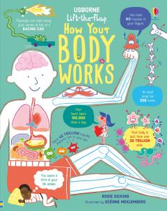 Lift-the-flap: How Your Body Works