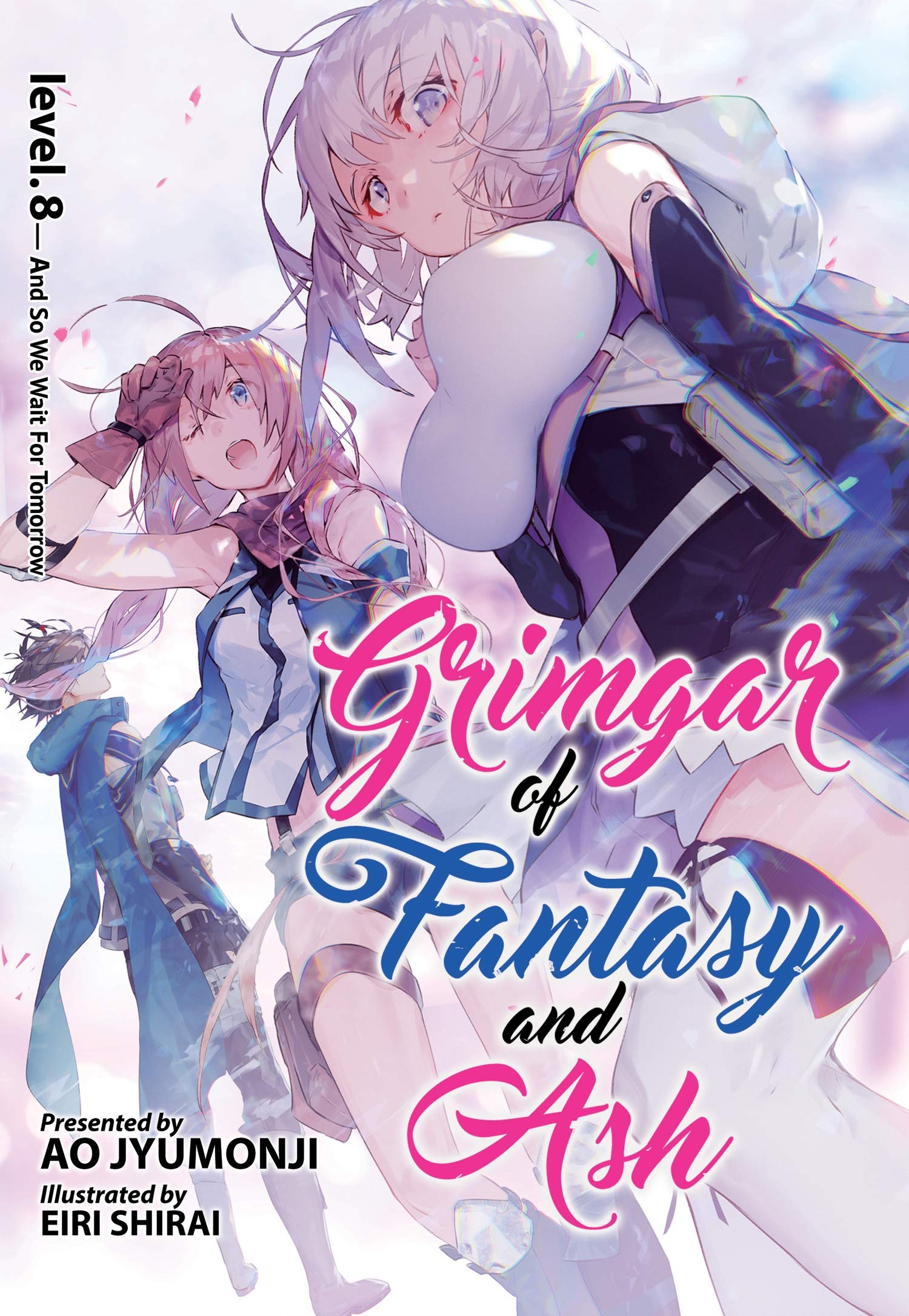 Grimgar of Fantasy and Ash (Light Novel) - Volume 8