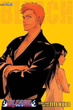 Bleach (2-in 1 Edition) - Volume 25