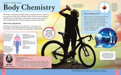 Children's Human Body Encyclopedia