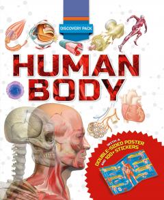 Discovery Pack: Human Body