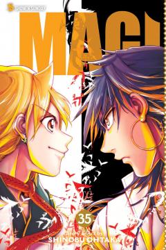 Magi: The Labyrinth of Magic - Volume 35