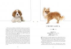 Paperscapes - The Dog