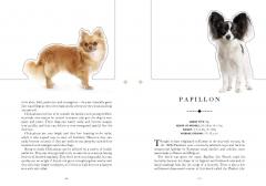 Paperscapes - The Dog