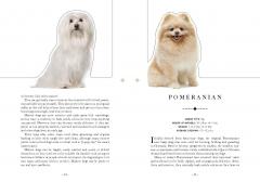 Paperscapes - The Dog