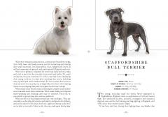 Paperscapes - The Dog