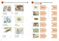 The Magic Paintbrush 