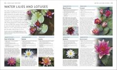 Encyclopedia of Aquarium and Pond Fish