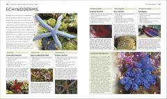 Encyclopedia of Aquarium and Pond Fish