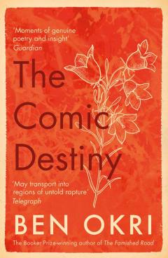 Coperta cărții Comic Destiny