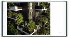 Gail Albert Halaban: Italian Views