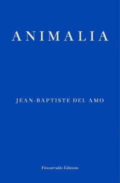 Animalia