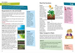 KS2 Science Study Book