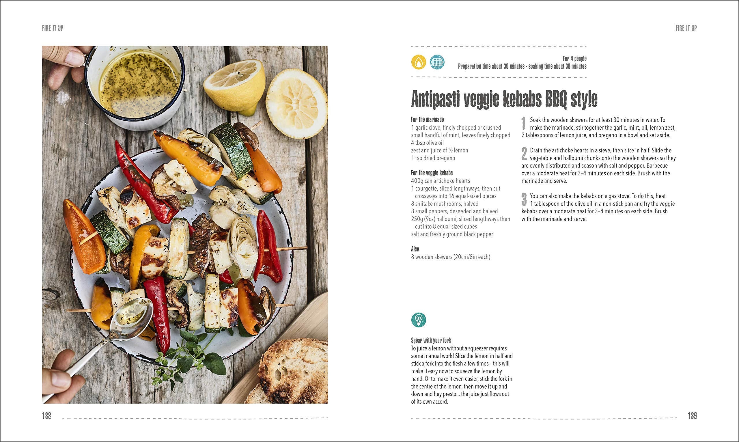 Campfire Cookbook Viola Lex, Nico Stanitzok