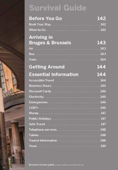 Lonely Planet Pocket Bruges & Brussels