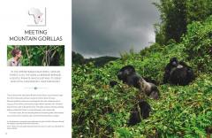 Encounters with Nature