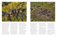 Encounters with Nature