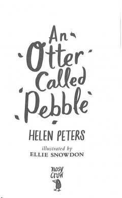 An Otter Called Pebble