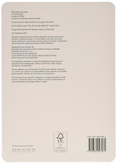 Mimi's Wheel Flashcards Plus Level 2