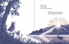 Four Otters Toboggan