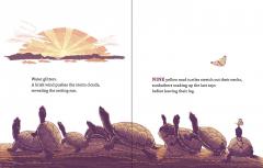 Four Otters Toboggan