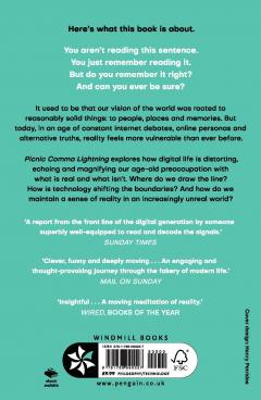 Picnic Comma Lightning