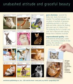 Calendar 2020 - Page-A-Day - Gallery Calendar - Cat 