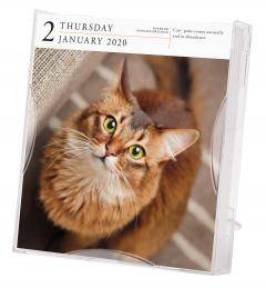 Calendar 2020 - Page-A-Day - Gallery Calendar - Cat 