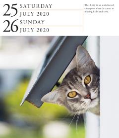 Calendar 2020 - Page-A-Day - Gallery Calendar - Cat 