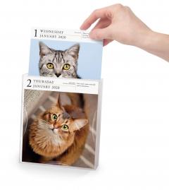 Calendar 2020 - Page-A-Day - Gallery Calendar - Cat 
