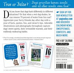 Calendar 2020 - Page-A-Day - A Year of Dog