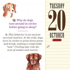 Calendar 2020 - Page-A-Day - A Year of Dog