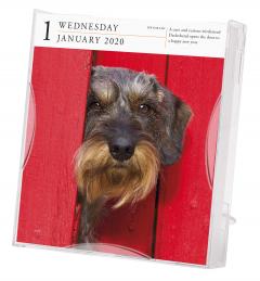 Calendar 2020 - Page-A-Day - Gallery Calendar - Dog