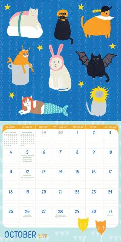 Mini Calendar 2020 - Crazy Cat Lady 