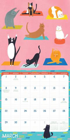 Mini Calendar 2020 - Crazy Cat Lady 