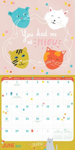 Mini Calendar 2020 - Crazy Cat Lady 